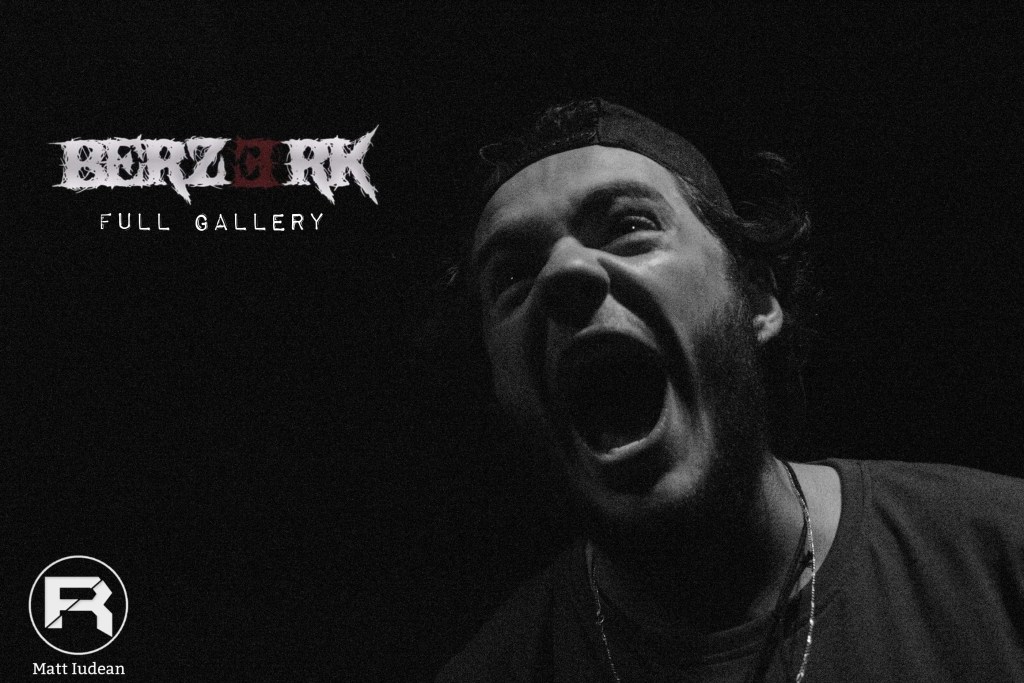 Berzerk: Full Gallery