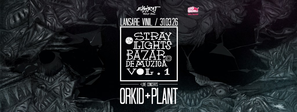 Concert Alert:  Stray Lights @ Bazar de Muzică – Vol.&nbsp;1